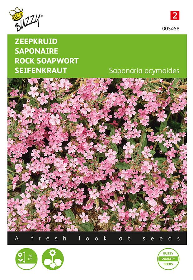 Buzzy® Saponaria zaden - Zeepkruid afbeelding