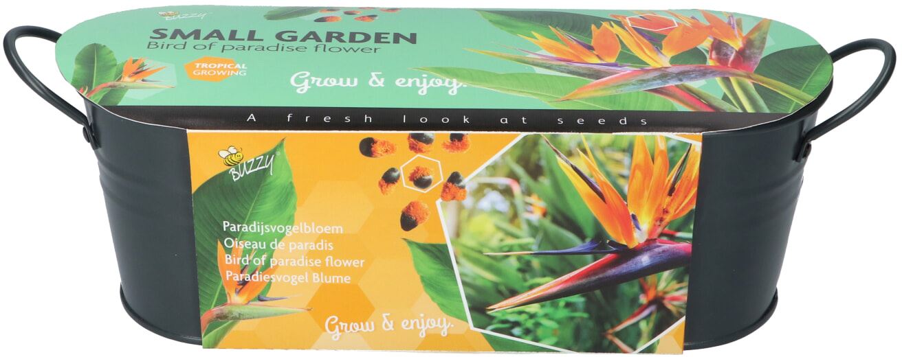Buzzy teiltje Antraciet Strelitzia afbeelding