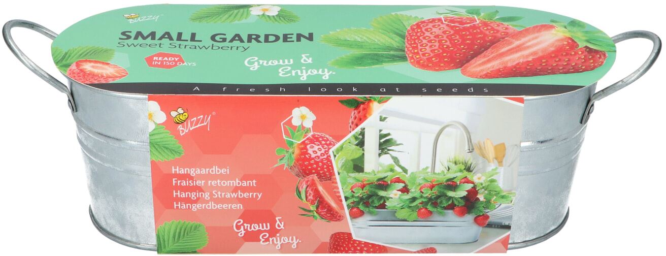Buzzy zinken Teiltje Strawberry Garden afbeelding