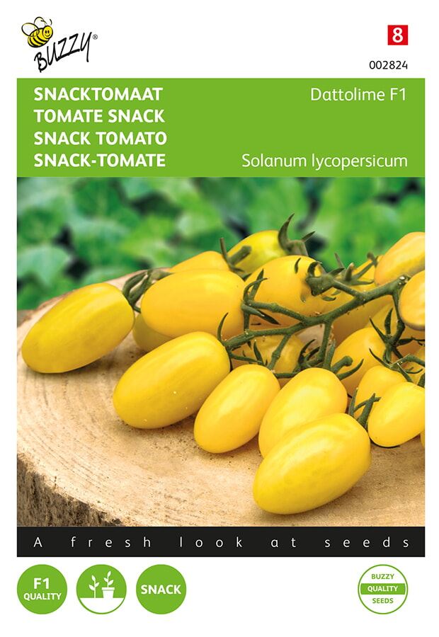 Buzzy snacktomaat Dattolime F1 afbeelding