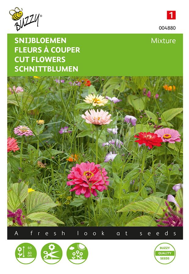 Buzzy bloemenweide - Snijbloemenmengsel afbeelding