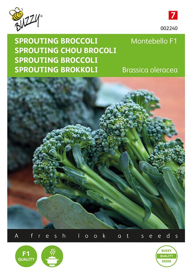Buzzy Sprouting Broccoli Montobello F1 afbeelding