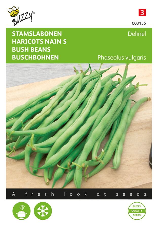 Buzzy® Stamslabonen zaden - Delinel afbeelding