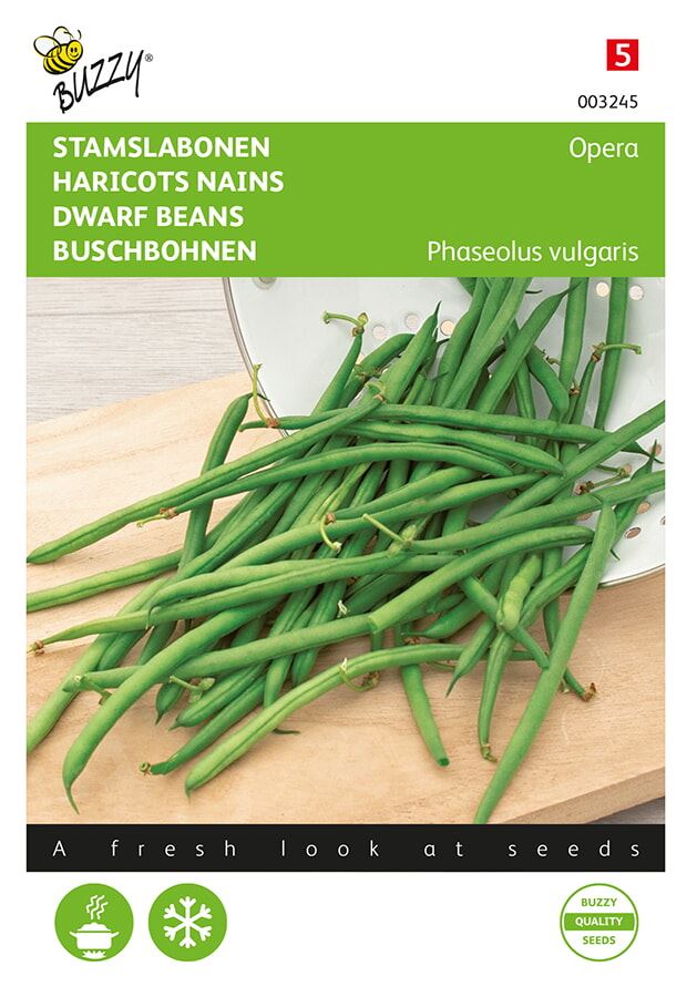 Buzzy® Stamslabonen zaden - Opera - Gourmetboontje - 20g afbeelding