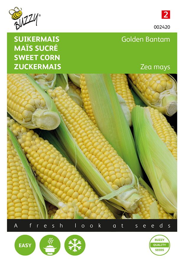 Buzzy® Suikermaïs zaden - Golden Bantam afbeelding