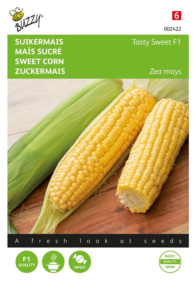 Buzzy® Suikermaïs zaden - Tasty Sweet afbeelding