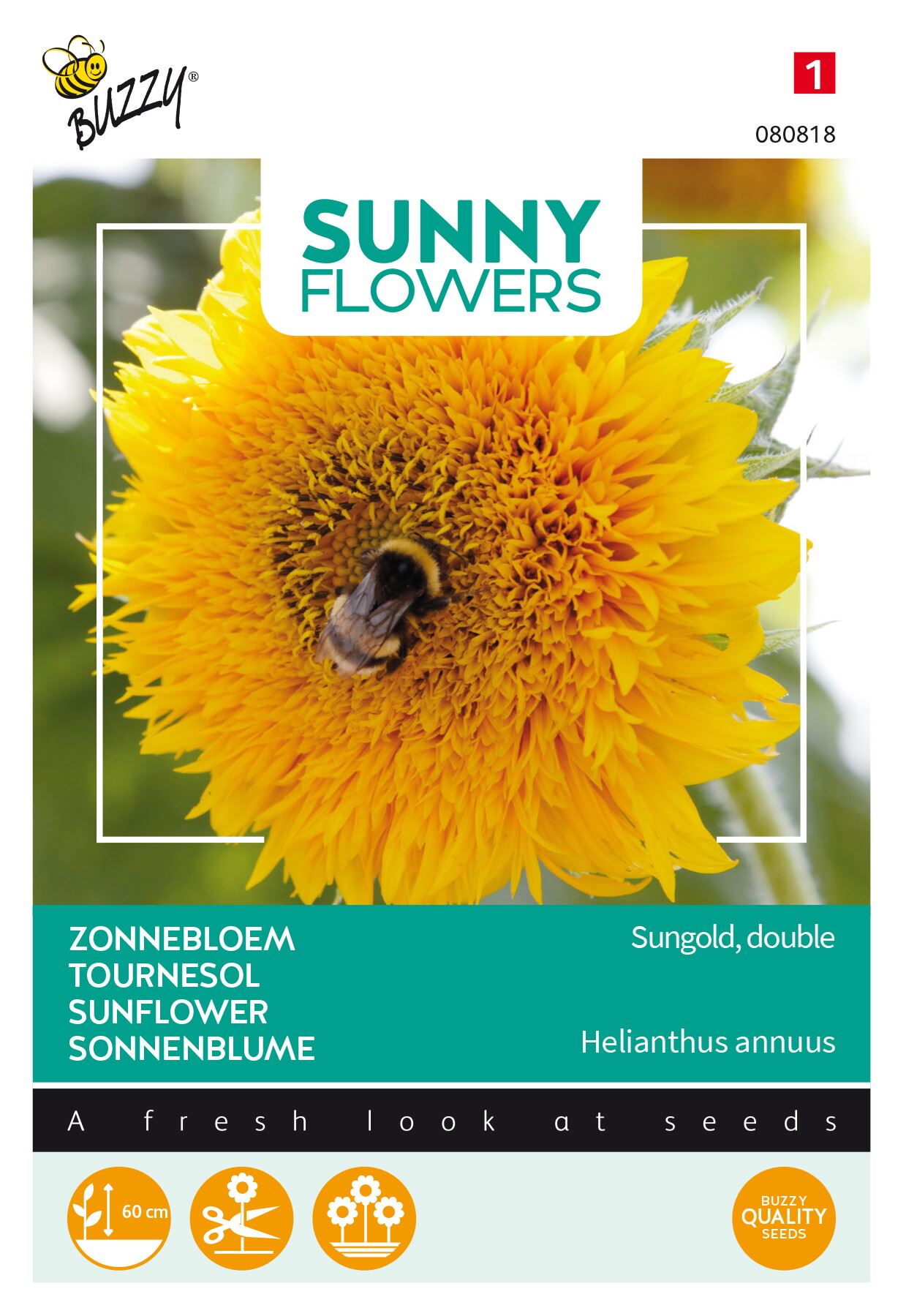 Buzzy® Zonnebloem zaden - Sungold afbeelding
