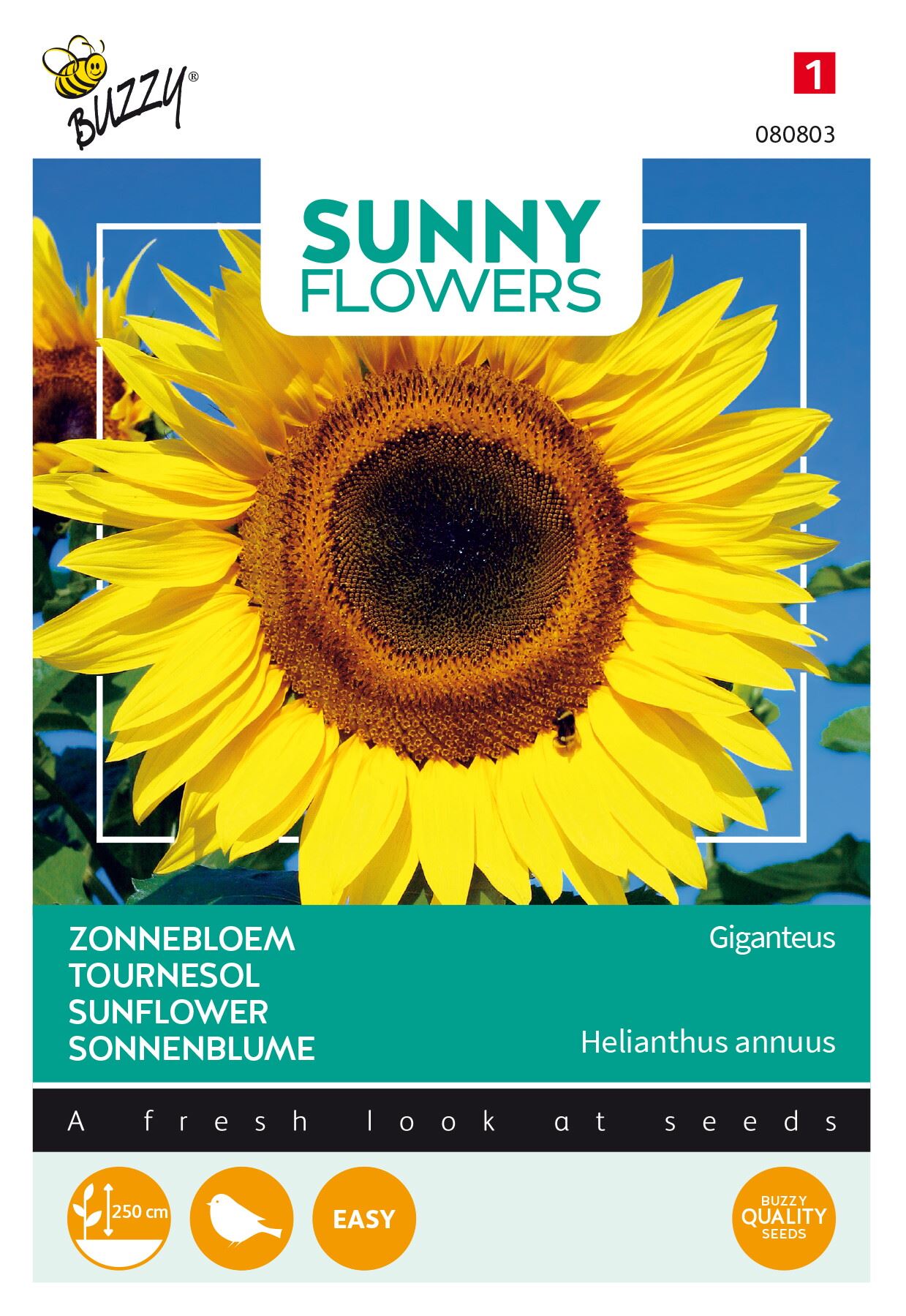 Buzzy® bloemzaden - Zonnebloem - Gigant afbeelding