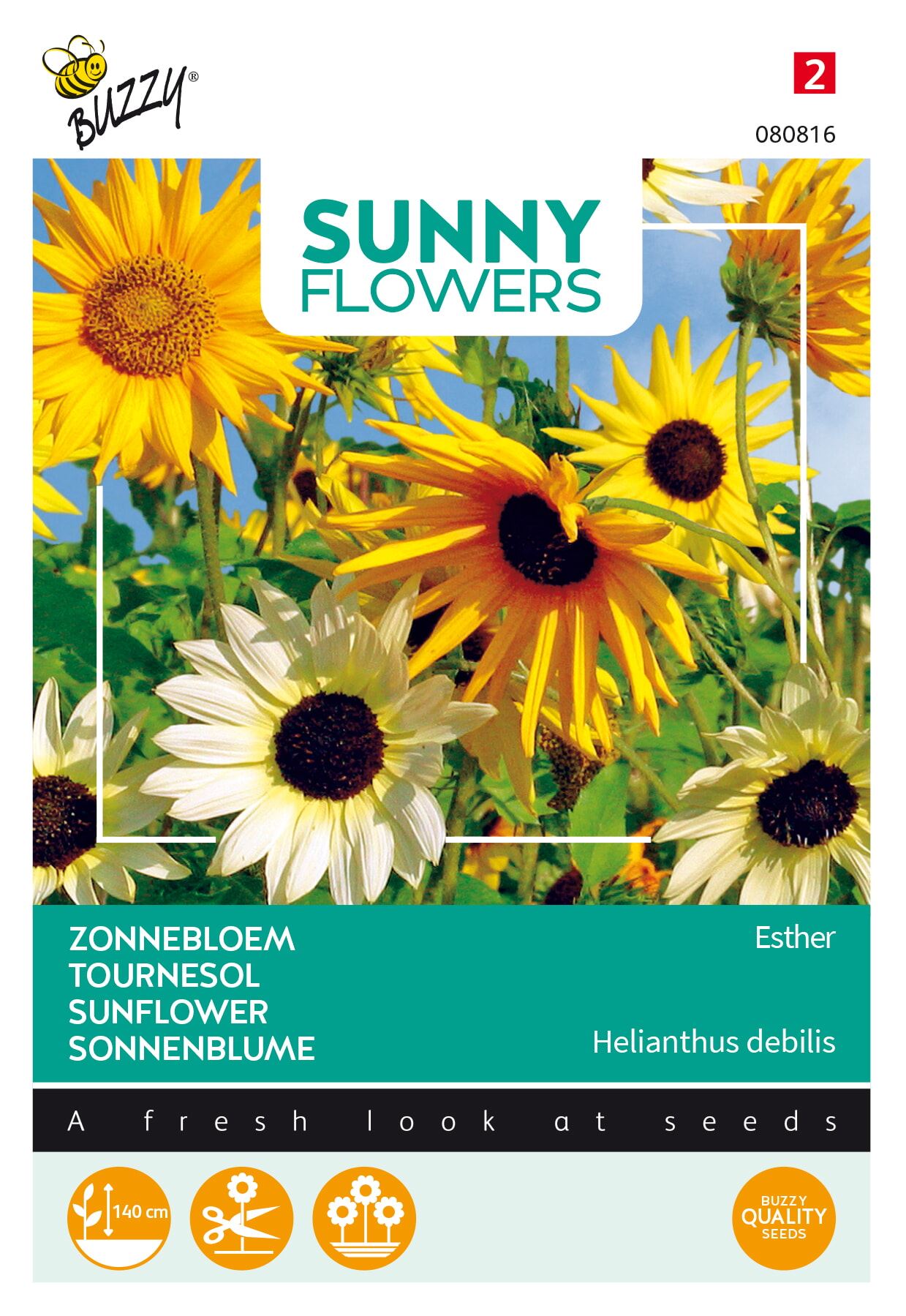 Buzzy® Zonnebloem zaden - Esther afbeelding