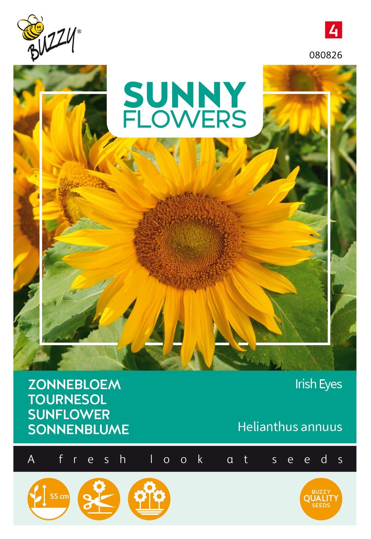 Buzzy® Zonnebloemenzaden - Irish Eyes afbeelding