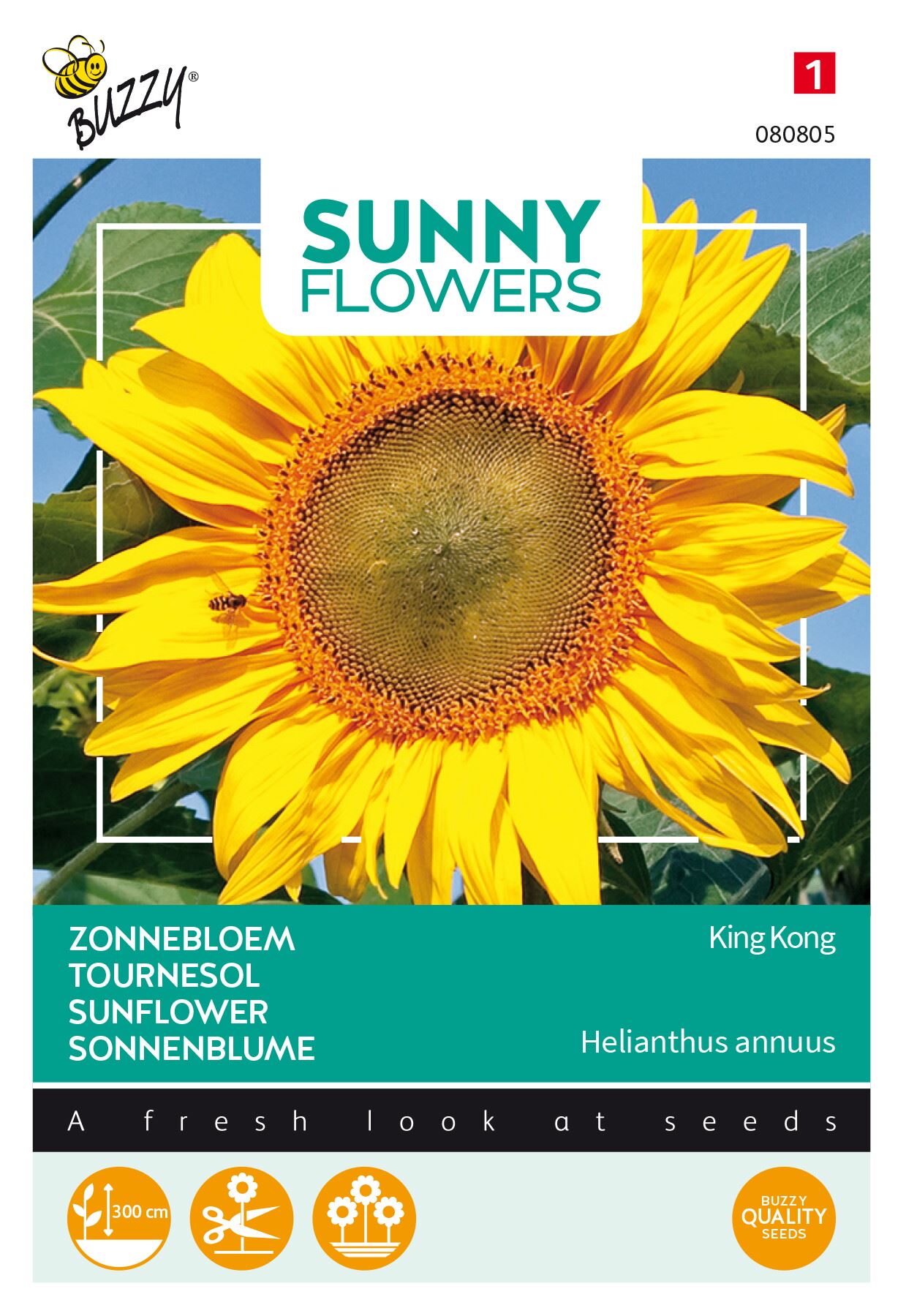 Buzzy® Zonnebloem zaden - King Kong afbeelding