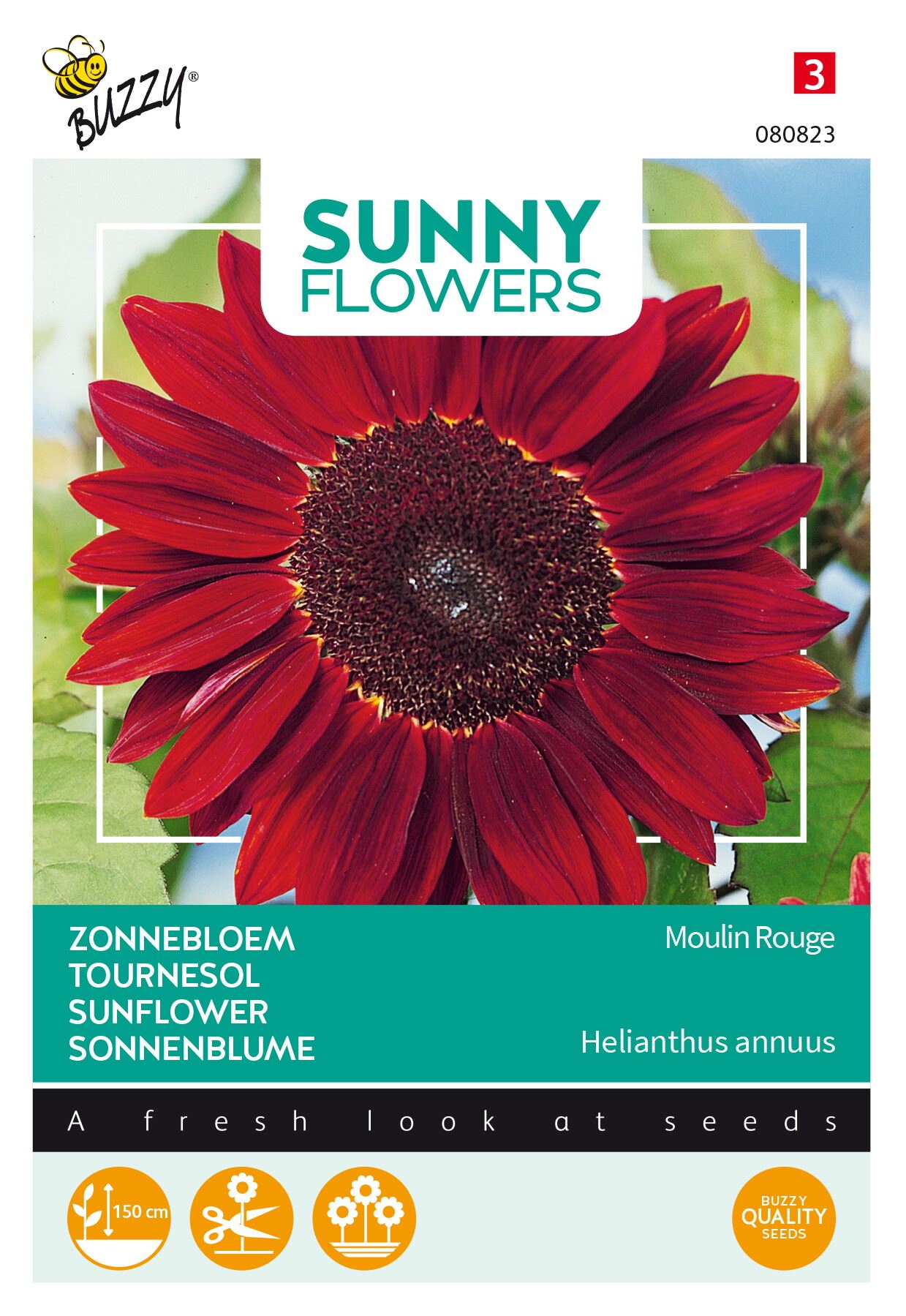 Buzzy® Zonnebloem zaden - Moulin Rouge - Helianthus Annuus afbeelding