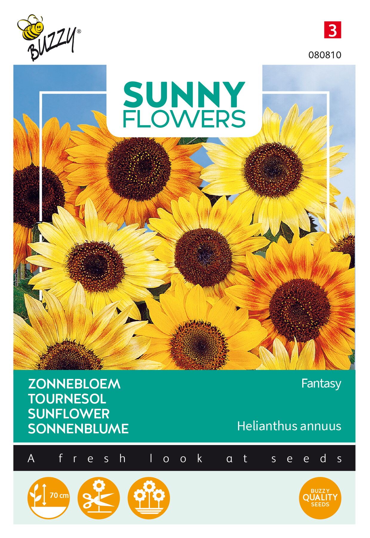 Buzzy® Zonnebloem zaden - Music Box afbeelding