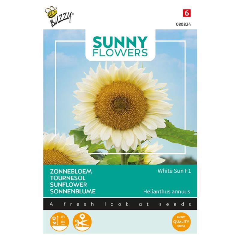 Buzzy Sunny Flowers, Zonnebloem'White Sun of Day' afbeelding