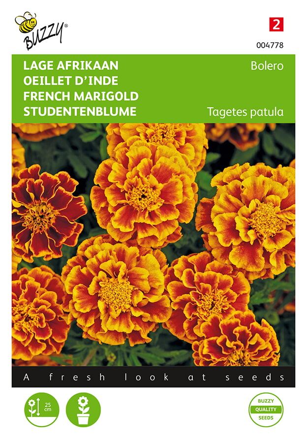Buzzy® Lage afrikaan zaden - Tagetes Bolero afbeelding
