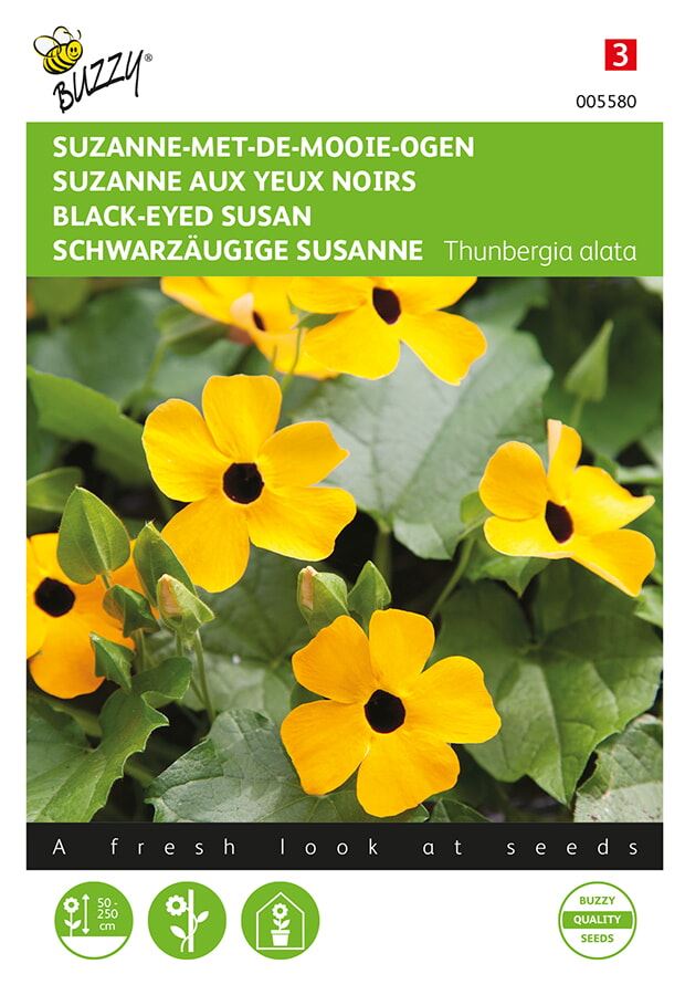 Buzzy® Suzanne-met-de-mooie-ogen zaden afbeelding