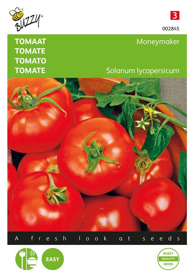 Buzzy tomaat Moneymaker afbeelding