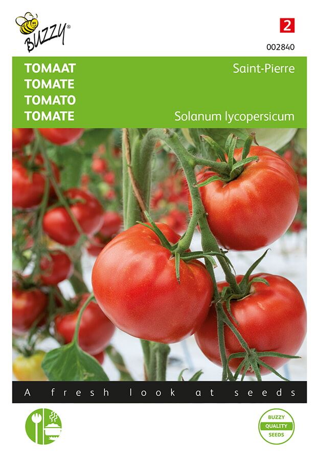 Buzzy® Tomaat zaden - Saint Pierre - Grote Vollegrondse afbeelding