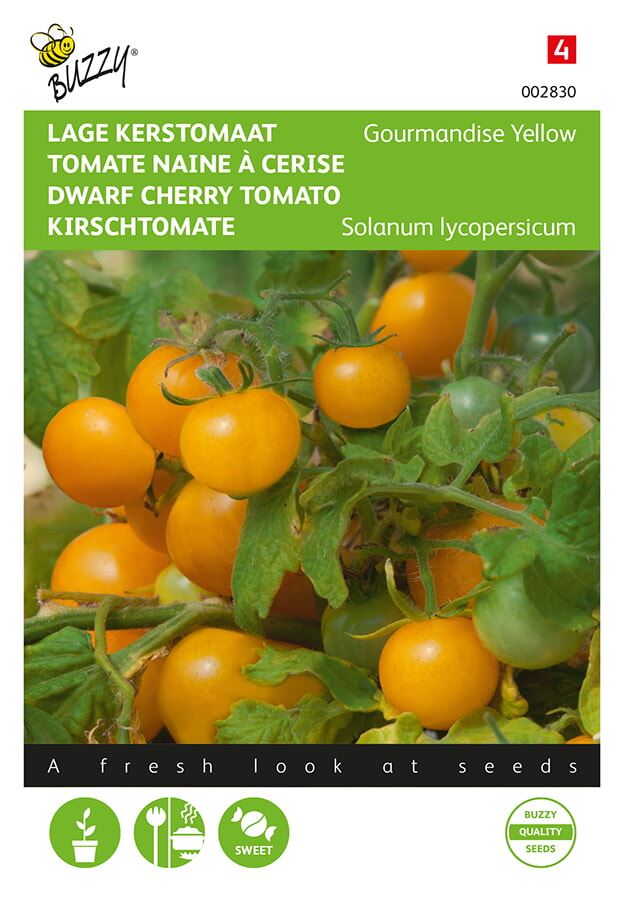 Buzzy® Tomaat zaden - Gourmandise - gele cherry patio afbeelding