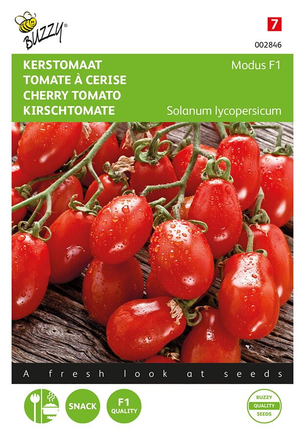 Buzzy® Tomaat zaden - Modus F1 afbeelding