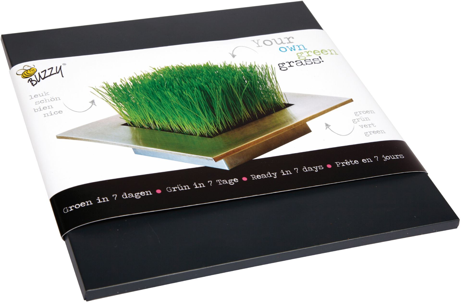 Buzzy trendy zinken tray antraciet met graszaden afbeelding