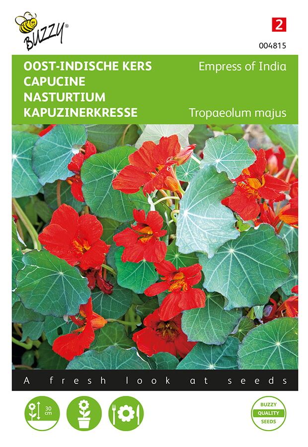 Buzzy® Oost-Indische kers zaden - Empress of India afbeelding