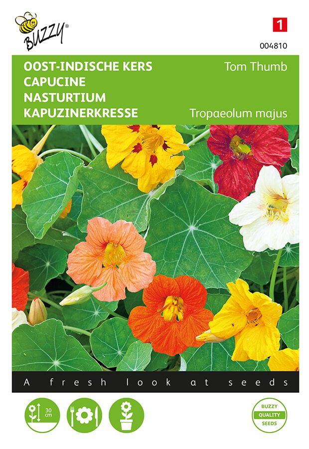 Buzzy® Oost-Indische kers zaden - Tom Thumb - gemengd afbeelding