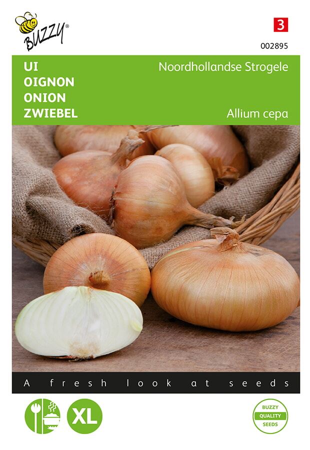 Buzzy ui Noordhollandse Strogele afbeelding