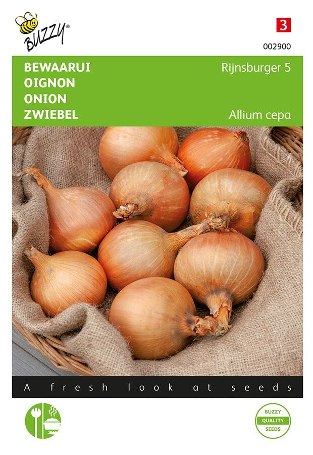 Buzzy® Ui zaden - Rijnsburger afbeelding