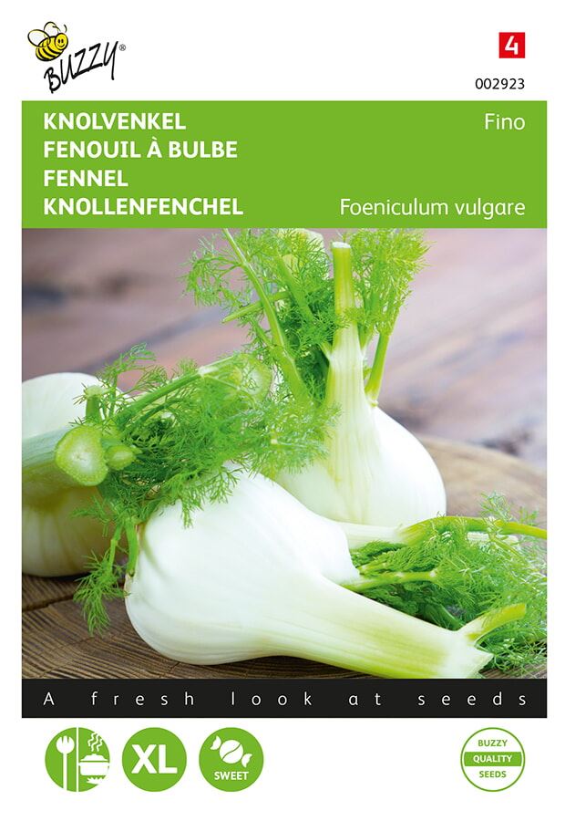Buzzy® Venkel zaden - Zefa Fino afbeelding