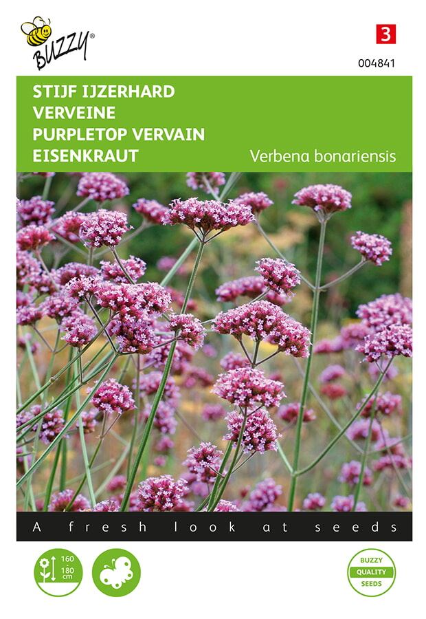 Buzzy - bloemzaden - Verbena, Stijf Ijzerhard afbeelding