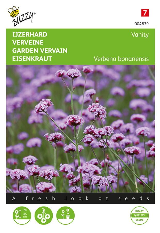 Buzzy Verbana bonariensis - Ijzerhard - Vanity (Laag soort) afbeelding
