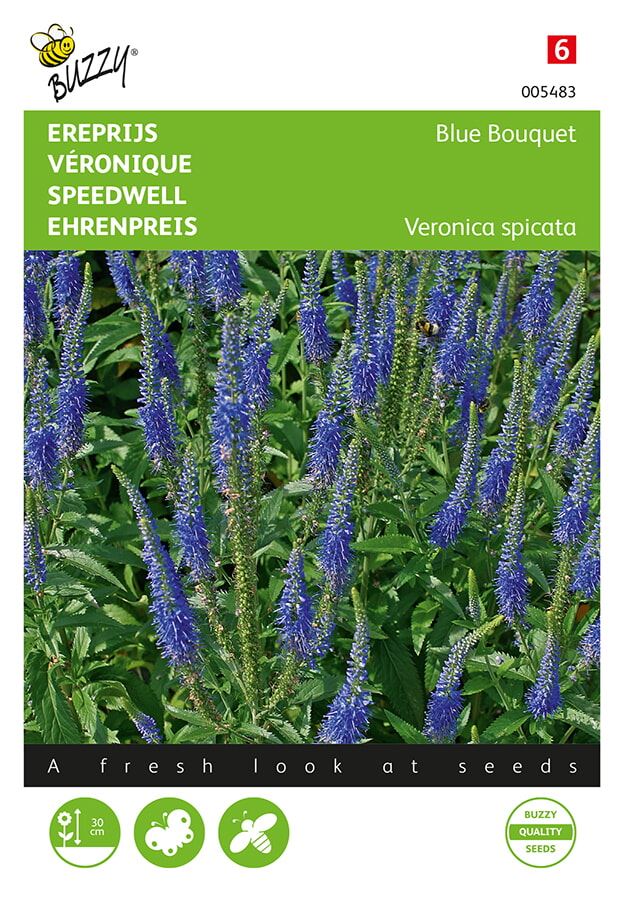 Buzzy® Ereprijs zaden - Blue Rocket afbeelding