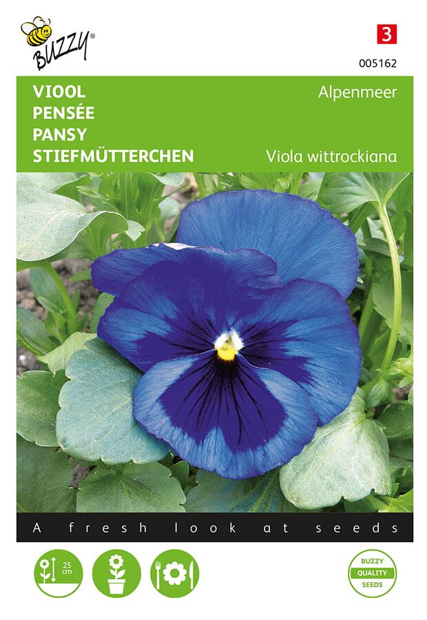 Buzzy® Viool zaden - Alpenmeer - blauw afbeelding