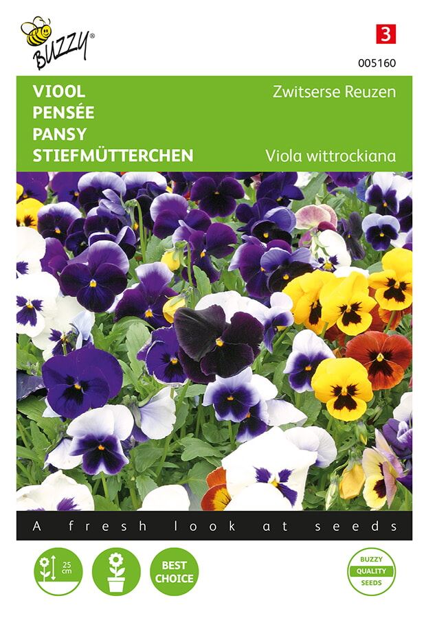 Buzzy® Viool zaden - Zwitserse Reuzen - gemengd afbeelding
