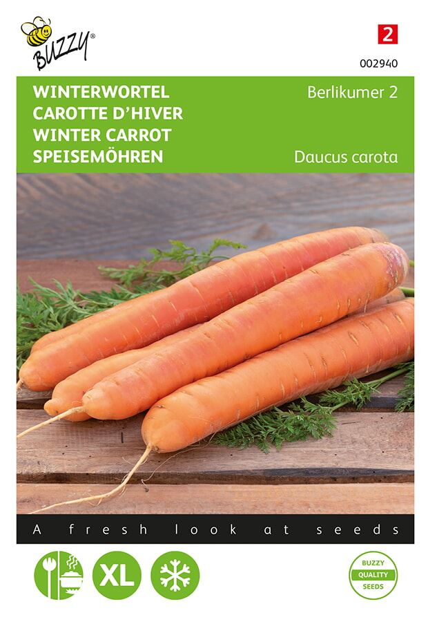 Buzzy® Winterwortel zaden - Berlikumer afbeelding