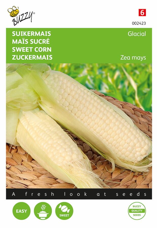 Buzzy suikermaïszaden - Glacial afbeelding