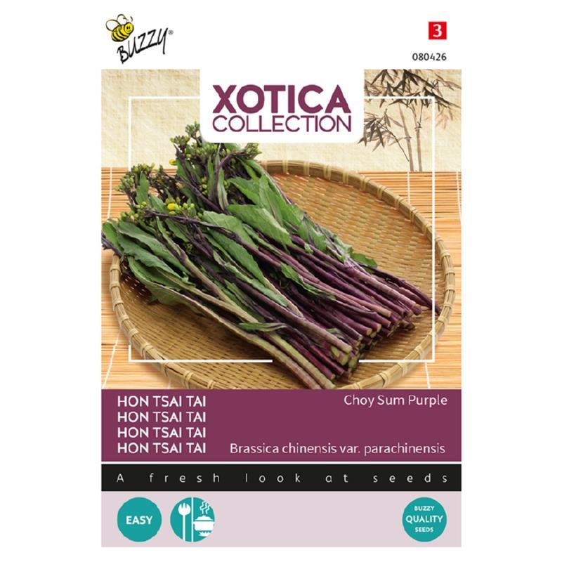 Buzzy Xotica Purple Choy Sum'Hon Tsai Tai' afbeelding