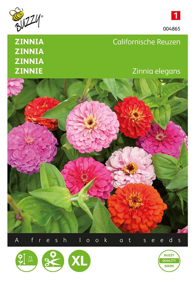 Buzzy® bloemzaden - Zinnia - Californische Reuzen afbeelding