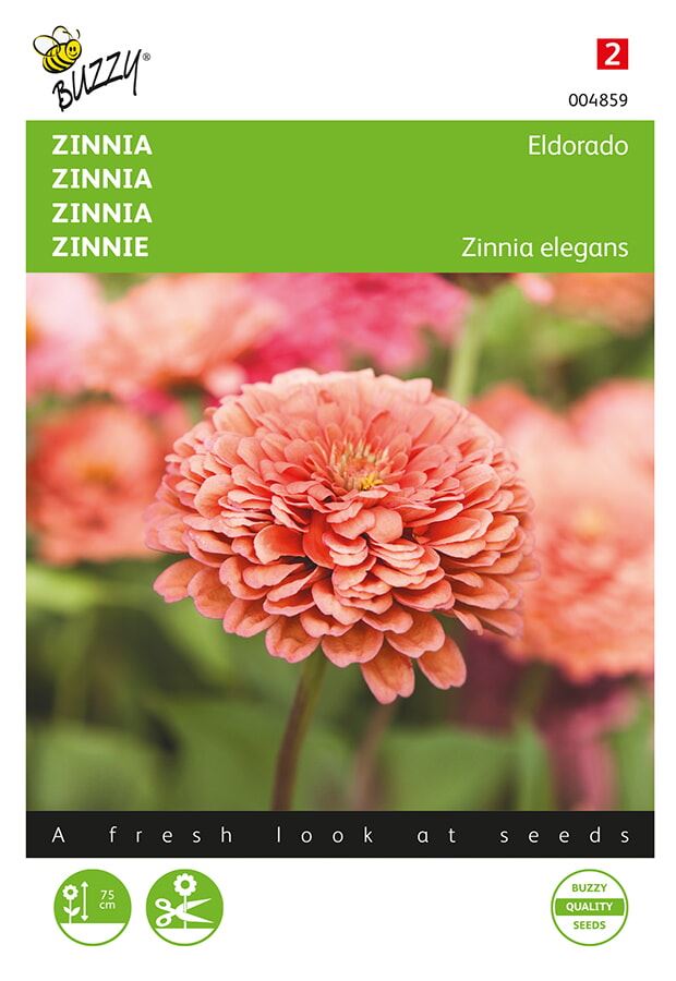 Buzzy® bloemzaden - Zinnia - Eldorado afbeelding