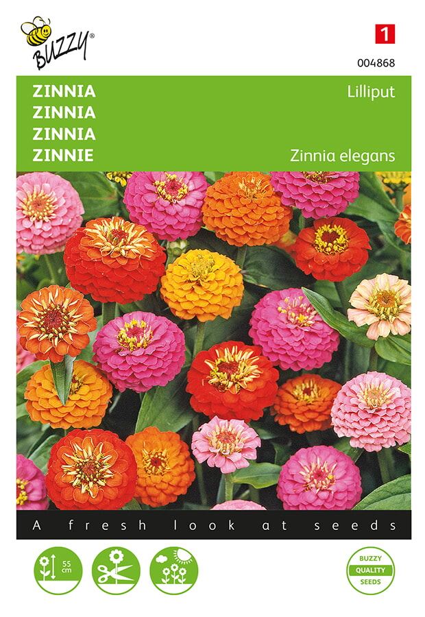 Buzzy® bloemzaden - Zinnia - Lilliput afbeelding