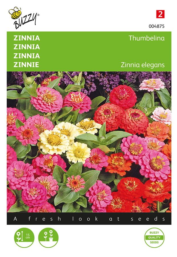 Buzzy® Zinnia zaden - Thumbelina - laag - gemengd afbeelding