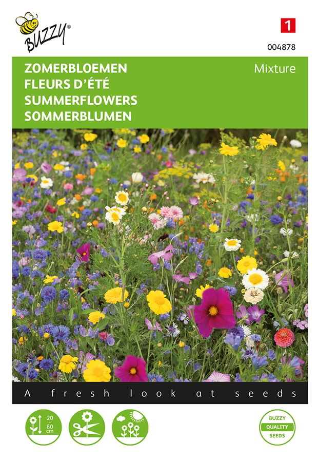 Buzzy bloemenweide - Gemengde zomerbloemenzaden afbeelding