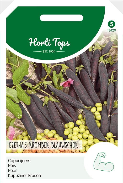 Horti Tops capucijners Blauwschokkers Ras Ezetha afbeelding