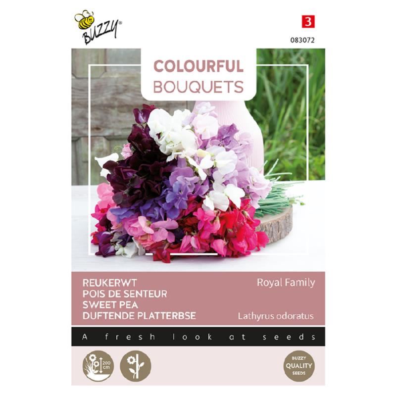 Buzzy Colourful Bouquets - Royal Family - Lathyrus - Reukerwt afbeelding