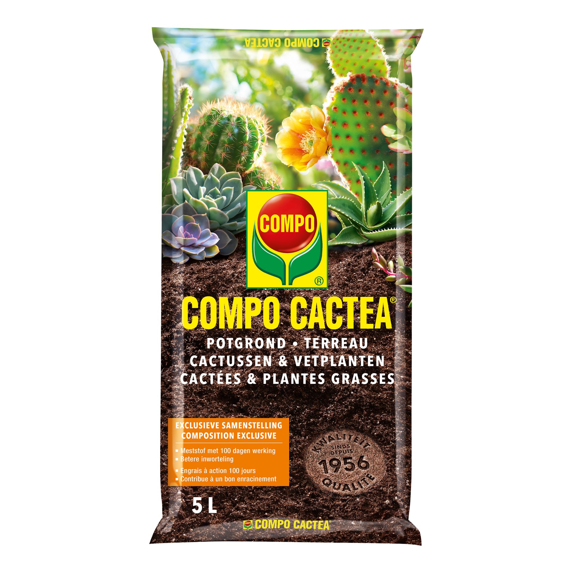 Compo sana cactuspotgrond - 5L afbeelding
