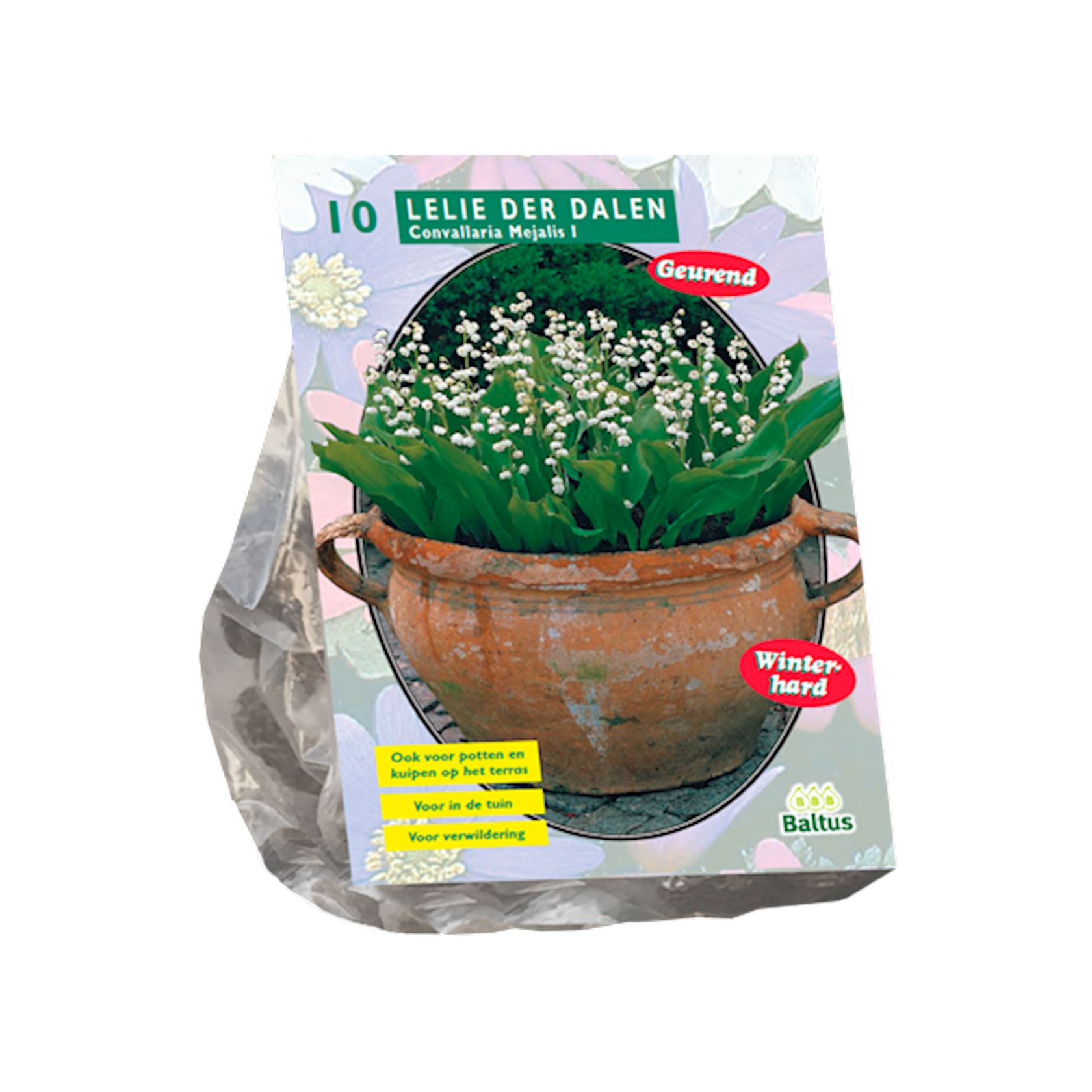 Baltus lelies'Convallaria Majalis'- Najaarsbloeiers - Per 10 bollen (wit) afbeelding