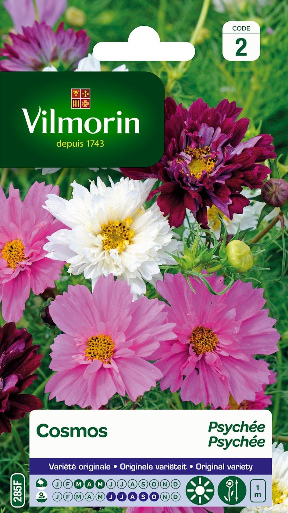 Vilmorin Cosmos zaden - Psychée afbeelding