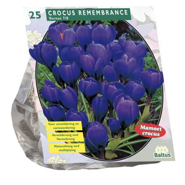 Baltus'Crocus Grootbloemig'voorjaarsbloeiers - 25 bollen afbeelding