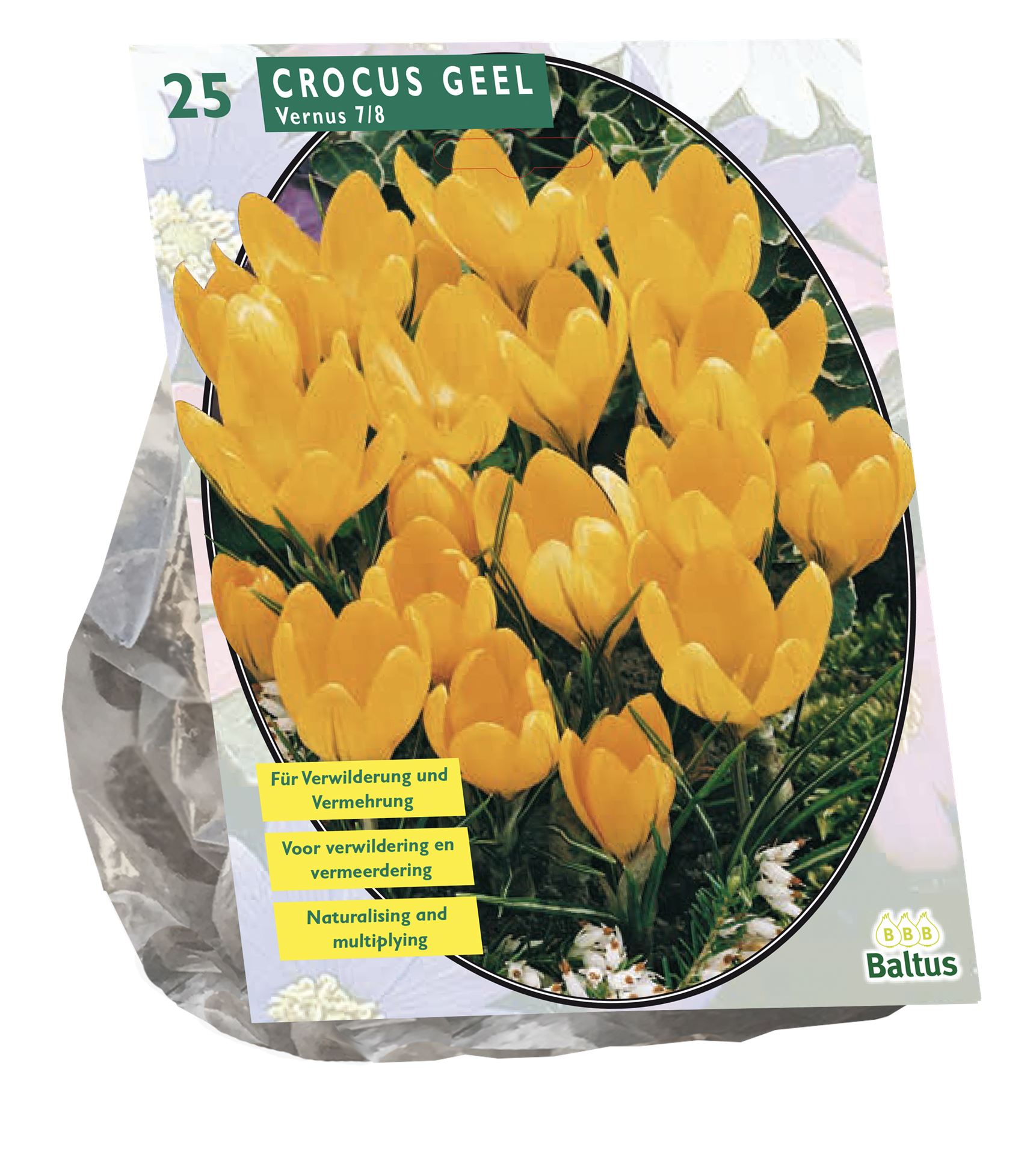 Baltus'Crocus Grootbloemig'voorjaarsbloeiers - 25 bollen afbeelding